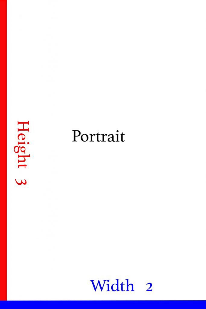aspect ratio portrait
