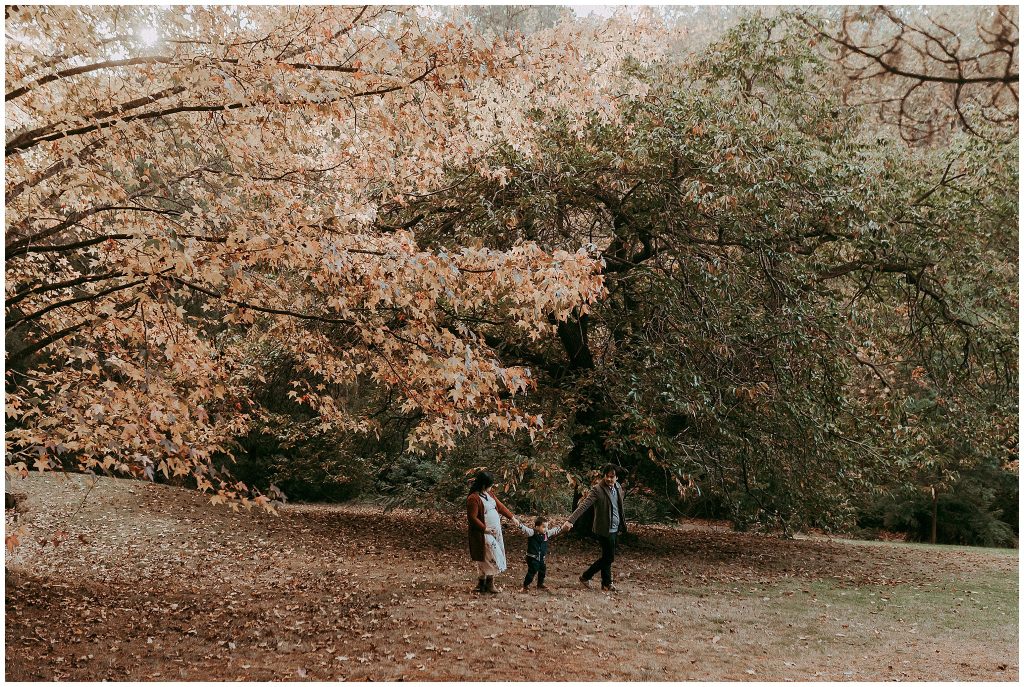 pregnancy portraits emerald