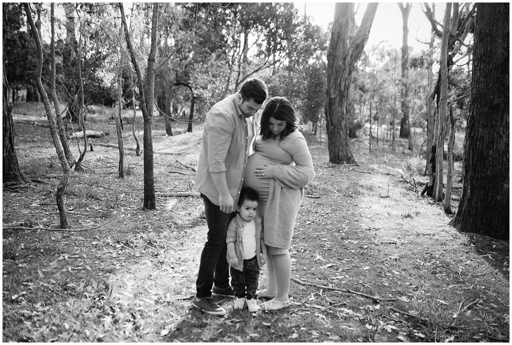 portraits of family expecting