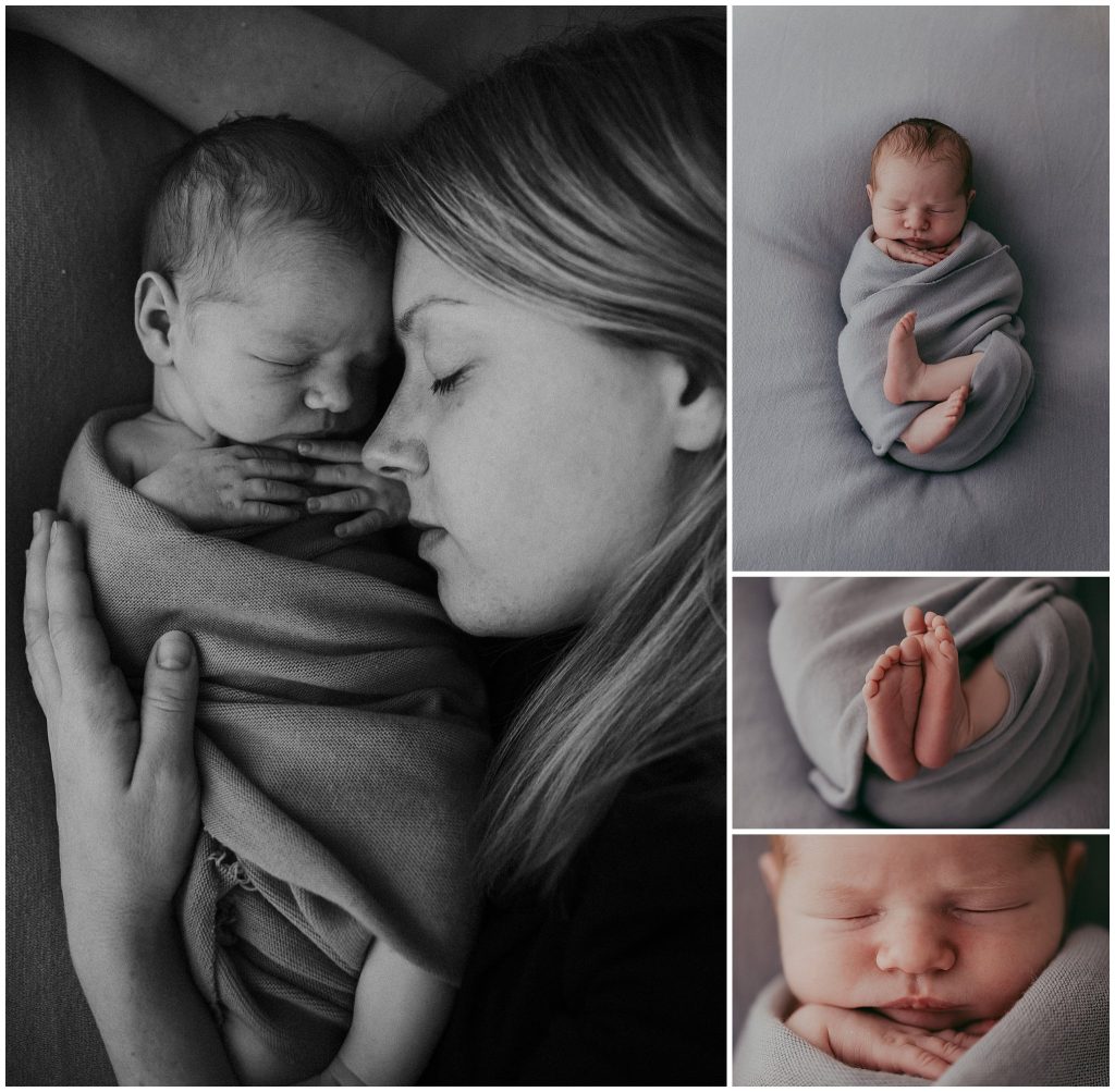 newborn studio portraits melbourne