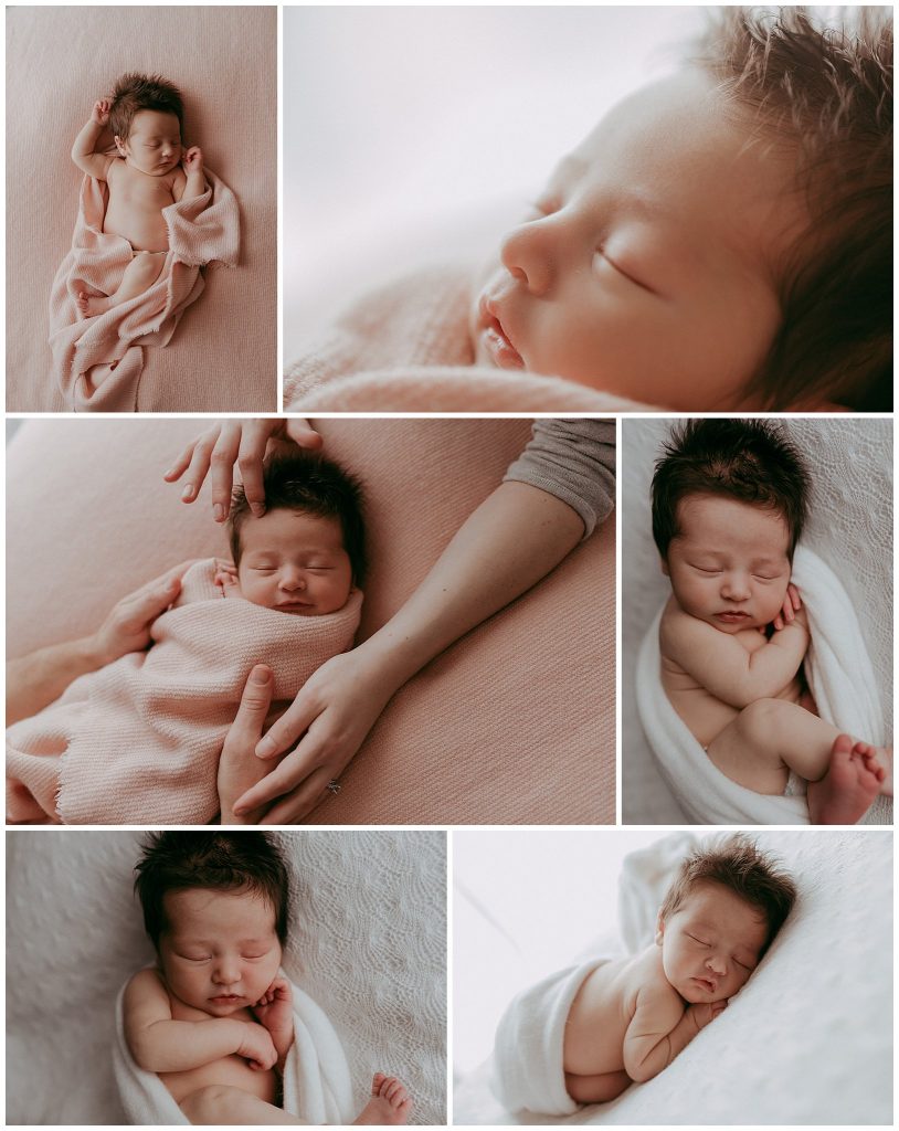 studio newborn photography melbourne