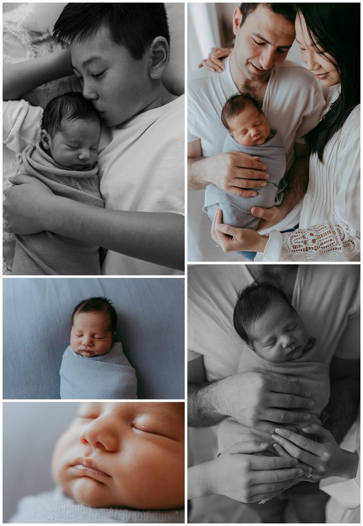 melbourne studio newborn portraits