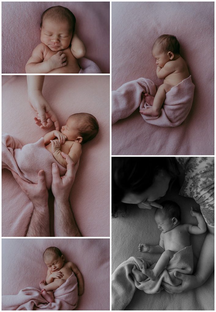 melbourne newborn images