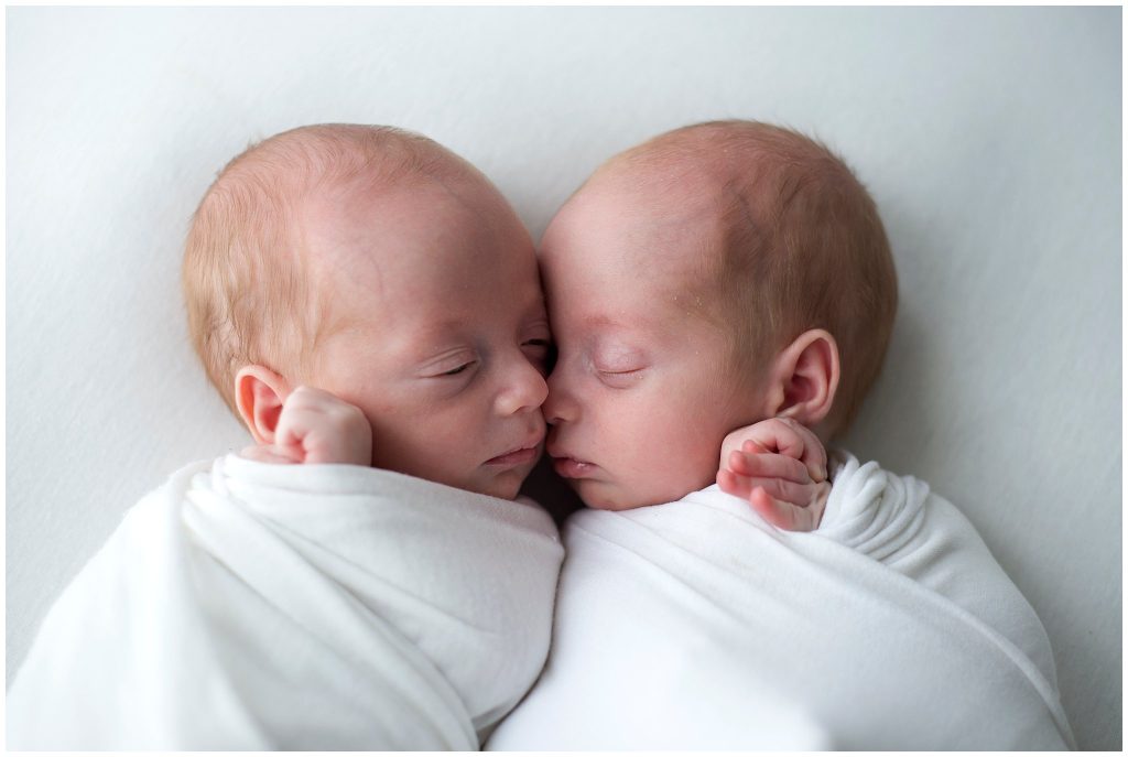 photoshoot melbourne newborn twins