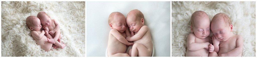 photography twin newborn