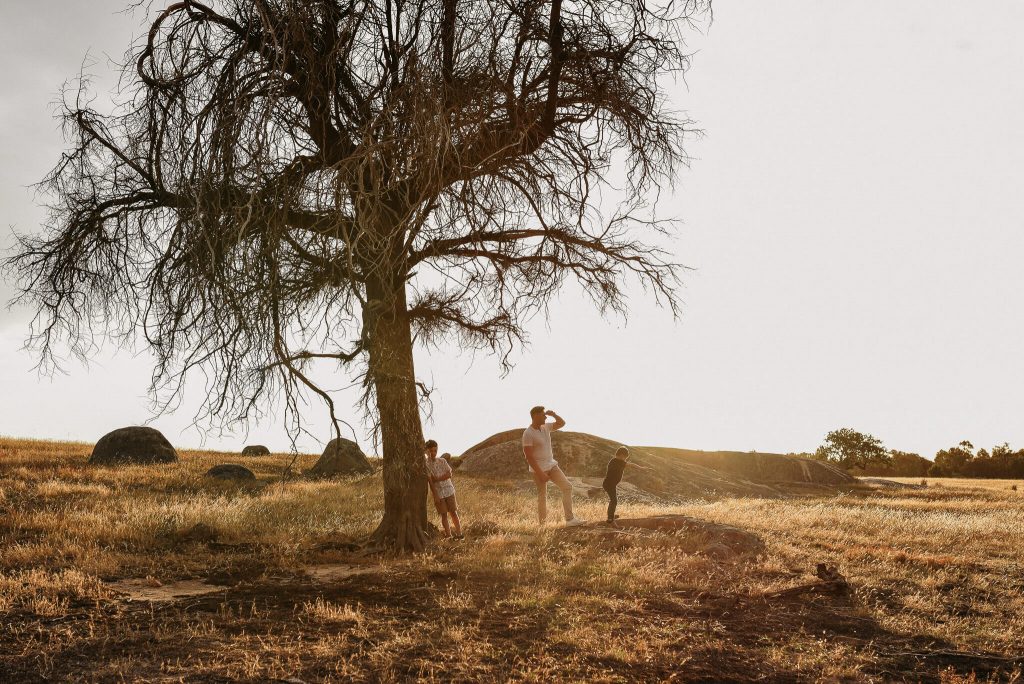 Photo location in the northern suburbs